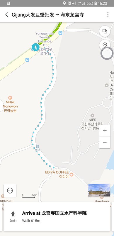 Screenshot_20180825-162318_Naver Map